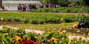 Élet a Krisna-völgyben 2026 - Előadások, séták