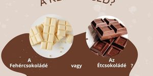 Hogyan készül a csoki workshop 2026 Budapest - Exkluzív csokoládé készítés a kakaóbabtól a bonbonig 