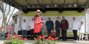 Anyák napi virágvásár és Anyám tyúkja Főzőfesztivál 2026 Csemő