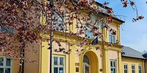 Ács programok 2026 -  Rendezvények, események