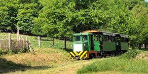 Almamelléki Erdei Vasút programok 2026