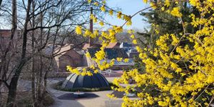 Városi Gyereknap Pécs 2026