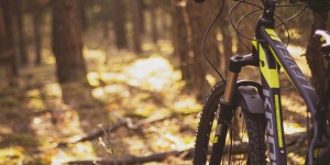 Kép forrása: Pixabay