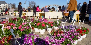 Dunakapu téri piac Győr 2026