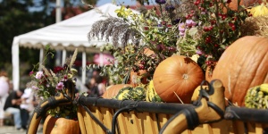 Ballószögi Szüreti Napok 2026