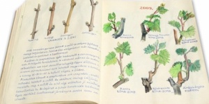 Szőlő Jövésnek Könyve Kőszeg 2026