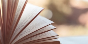 A kép illusztáció. A kép forrása: Pixabay.com