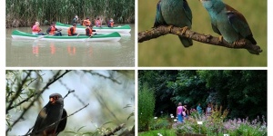 Körösvölgyi Látogatóközpont és Állatpark programok 2026