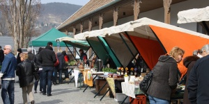 Termelői piac Visegrád 2026