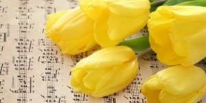 Templomi koncertek, előadások, vetítések 2026 - Online jegyvásárlás