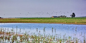 Homokhátság programok 2026