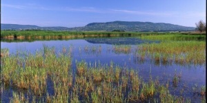 A Káli-medence felfedezése, kirándulások a Balaton-felvidéki Nemzeti Parkban