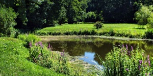 Budafai Arborétum látogatás 2026