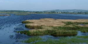 Dinnyési-fertő programok 2026