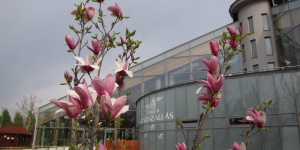 Kisújszállási fürdő programok 2026 - Események, rendezvények a Kumánia Fürdőben