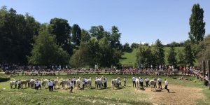 Kassai-völgy programok 2026. Nyílt napok, bajnokságok, események, rendezvények