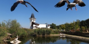 Poroszlói Ökopark látogatás a hét minden napján a Tisza-tónál