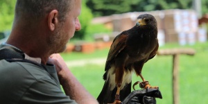 Bemutatók 2026 - Bemutató programok országszerte