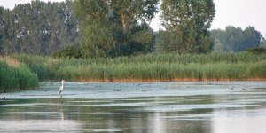 Biharugrai programok 2026 - A Bihari Madárvárta eseményei