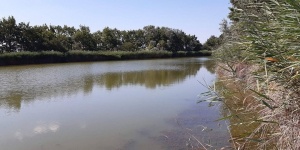 Szelidi-tó futás és tó átúszás 2026 Dunapataj