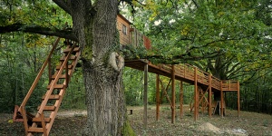 Madarak és Fák Napja Aggteleki Nemzeti Park 2026