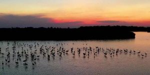 Hortobágyi Nemzeti Park programok 2026 - Események, rendezvények, fesztiválok