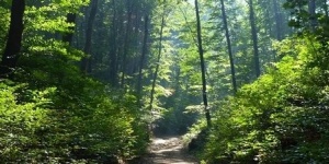 Vértes Meteor Természetbarát Sport Egyesület programok 2026