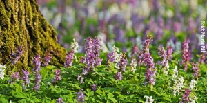 Vezetett túrák a Körös-Maros Nemzeti Parkban 2026