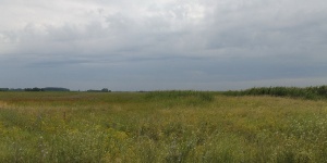 Pimpó tanösvény Orgovány, ökotúra a Kiskunsági Nemzeti Parkban, az Orgoványi réteken