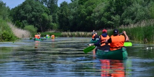 Kenutúrák Kis-Balaton 2026 - Vezetett vízitúra a Diás-szigetre és a Fekete István-emlékhelyre