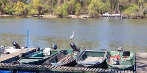 Tiszafüred csónaktúra 2026 - Tisza-tavi csónaktúrák túravezetővel a Szabics Kikötőből