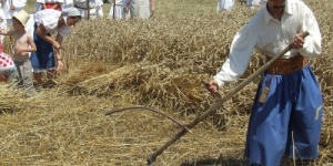 Aratónap Mohács 2026 - Hagyomány, ünnep, szórakozás