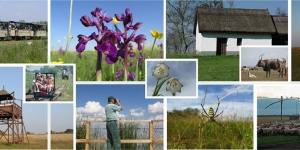 Hortobágyi Majális 2026