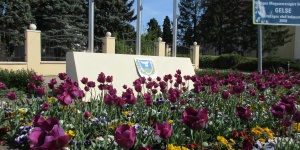 Gelse programok 2026 - Események, rendezvények, jeles napok, ünnepek