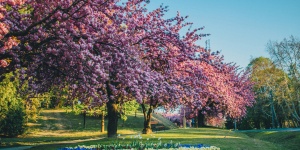 Város Napjai Zalakaros 2026