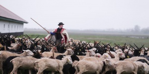 Szent György-napi Kihajtási Ünnep Hortobágy 2026