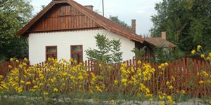 Eszter Tanya Csorvás