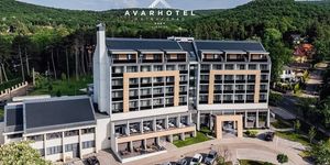Avar Hotel**** Superior Mátrafüred