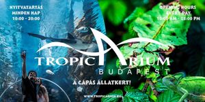 Tropicarium Budapest - Cápás állatkert