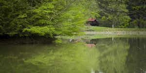 Budafai Arborétum Bázakerettye