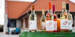Petőcz Pincészet és Vendégház Ászár