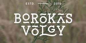 Borókásvölgy Vendégház Mályinka