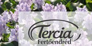 Tercia Étterem és Panzió Fertőendréd