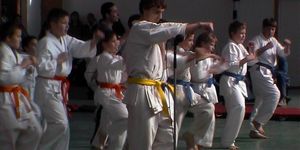 Délegyházi Karate Sportegyesület