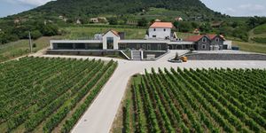 Kancellár Birtok Somlójenő