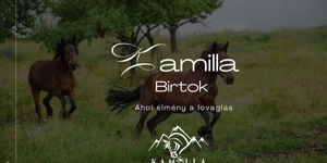Kamilla Birtok Lovasiskola Visonta