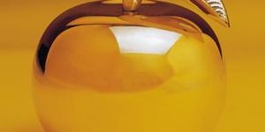 Aranyalma Étterem és Vendégház Napkor