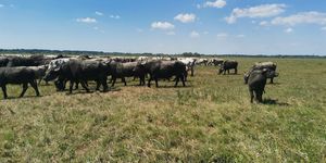 Szamárháti Látogatóközpont Kesznyéten