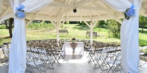 Aubergine Pince Etyek