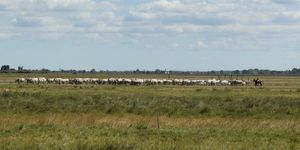 Répce Tanösvény Apaj